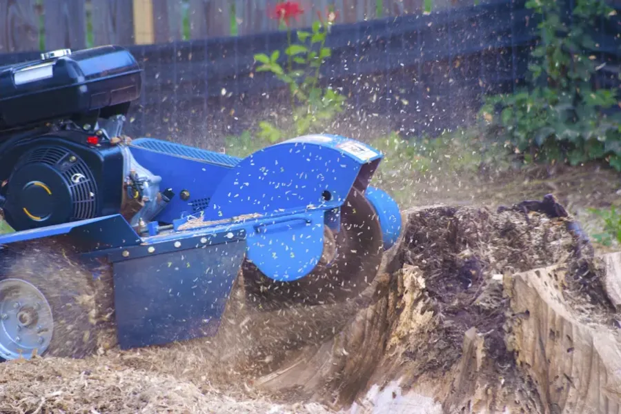 Excellent Stump Grinding Pacoima, CA Excellent Stump Grinding Pacoima, CA