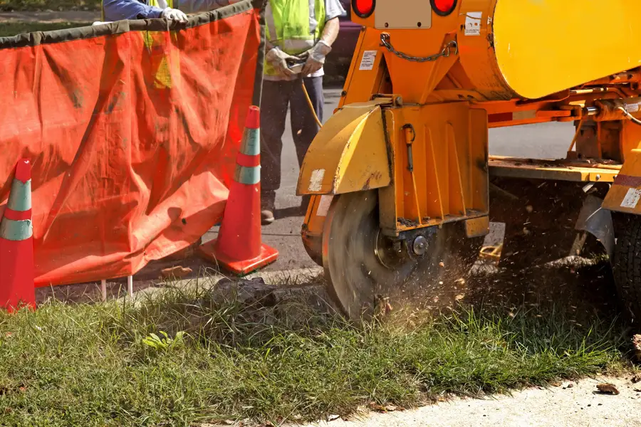 Premium Stump Grinding Pacoima, CA Premium Stump Grinding Pacoima, CA