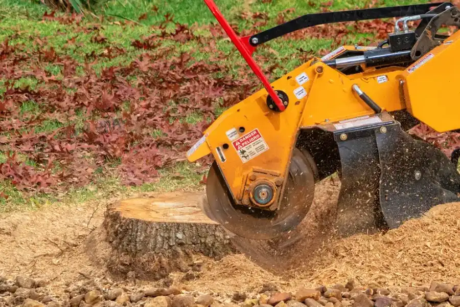 Reputable Stump Grinding Pacoima, CA Reputable Stump Grinding Pacoima, CA