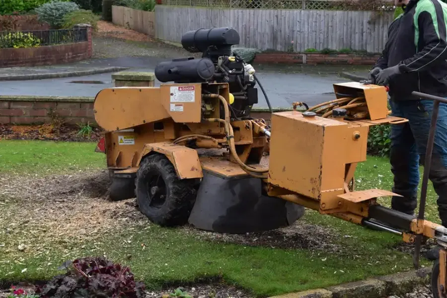 Stump Grinding Versus Stump Removal Explained Pacoima, CA Stump Grinding Versus Stump Removal Explained Pacoima, CA